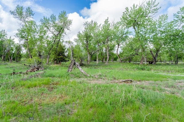LOT15ATBD Riverway Rd, Belgrade, MT 59714