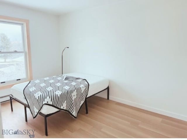 917 N 17th Ave Unit 3, Bozeman, MT 59715 - bedroom with light wood-style flooring and baseboards