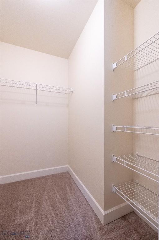 2300 Sturnella Ln, Belgrade, MT 59714 - walk in closet featuring carpet floors