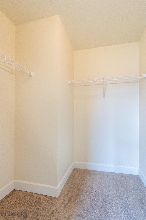 2300 Sturnella Ln, Belgrade, MT 59714 - spacious closet featuring light carpet