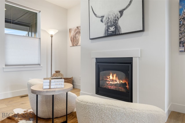 1502 Cyril Way, Belgrade, MT 59714 - living area with a glass covered fireplace, wood finished floors, and baseboards