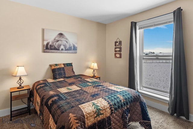 9 Blue Stem Way, Three Forks, MT 59752 - carpeted bedroom with baseboards