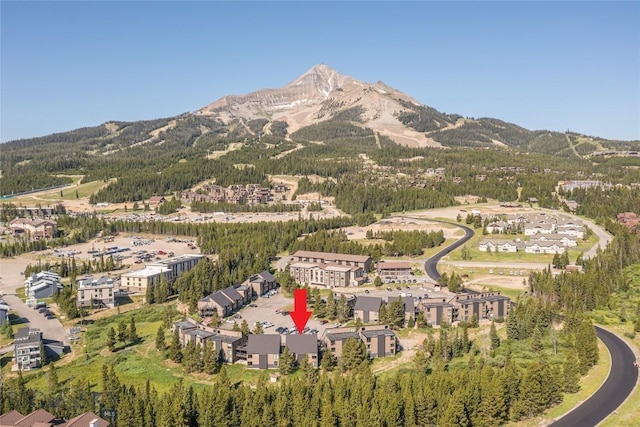 21 Sitting Bull Rd Unit 1284, Big Sky, MT 59716 - photo 26