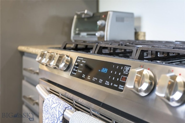 details with stainless steel gas range