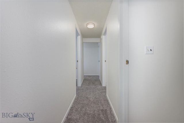 hall featuring carpet floors, baseboards, and a textured ceiling