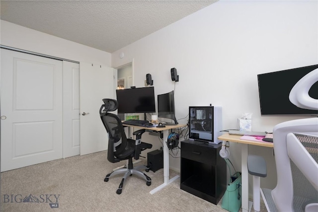carpeted office with a textured ceiling