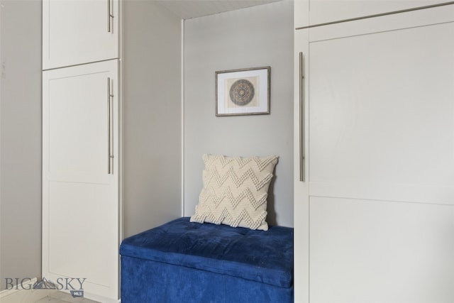 211 N Yellowstone Ave, Bozeman, MT 59718 - view of bedroom