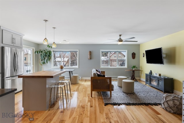 211 N Yellowstone Ave, Bozeman, MT 59718 - living area with light wood finished floors, a ceiling fan, and baseboards