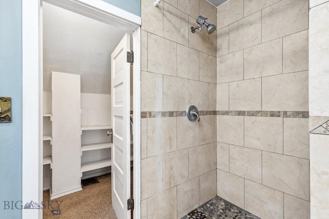 full bathroom with a tile shower