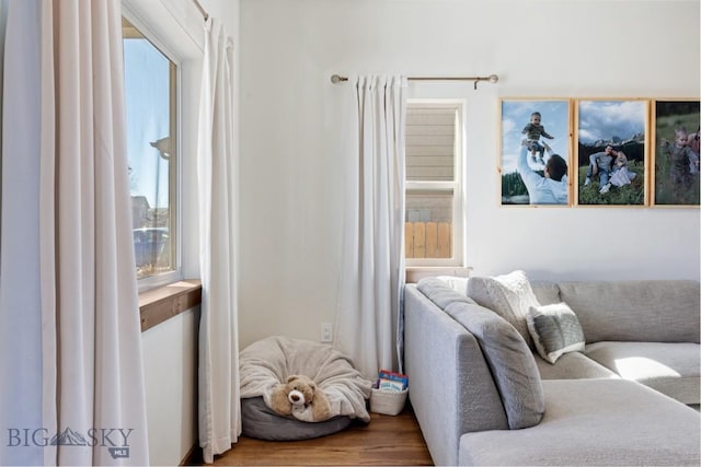 1009 Idaho Unit B, Belgrade, MT 59714 - living room featuring wood finished floors