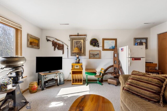 490 Secretariat Cir, Belgrade, MT 59714 - living room featuring carpet floors and baseboards