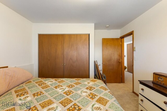 490 Secretariat Cir, Belgrade, MT 59714 - bedroom with light carpet and a closet