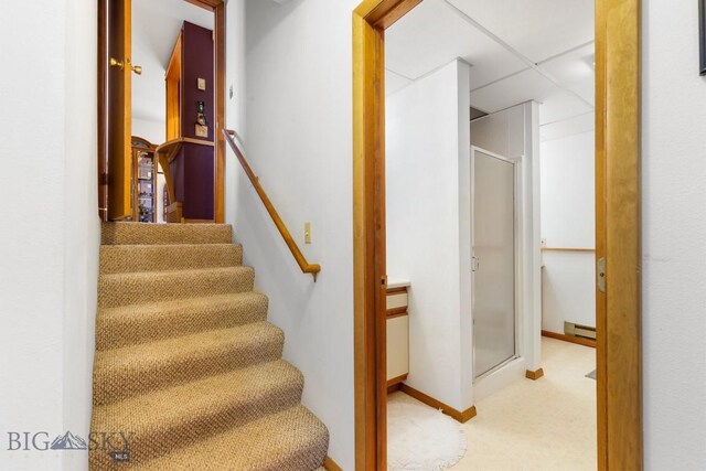 490 Secretariat Cir, Belgrade, MT 59714 - stairs with carpet floors and baseboard heating