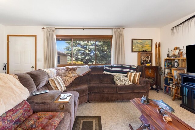 490 Secretariat Cir, Belgrade, MT 59714 - living area with carpet