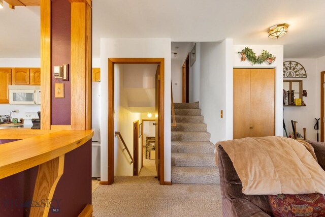 490 Secretariat Cir, Belgrade, MT 59714 - stairway with carpet