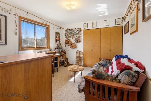 490 Secretariat Cir, Belgrade, MT 59714 - office featuring light colored carpet