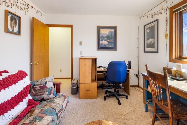 490 Secretariat Cir, Belgrade, MT 59714 - office space with carpet
