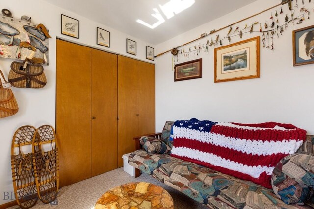 490 Secretariat Cir, Belgrade, MT 59714 - bedroom with carpet flooring and a closet