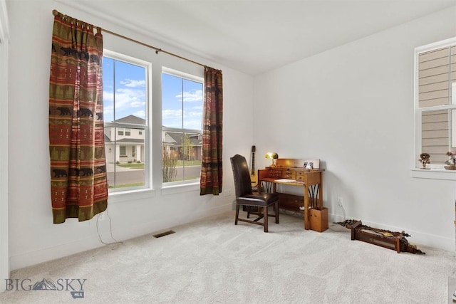 1510 Deadwood Loop, Belgrade, MT 59714 - home office with carpet and baseboards