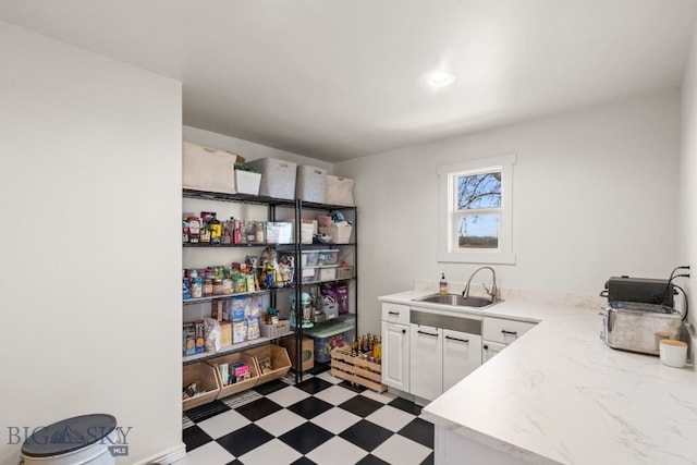 pantry with a sink