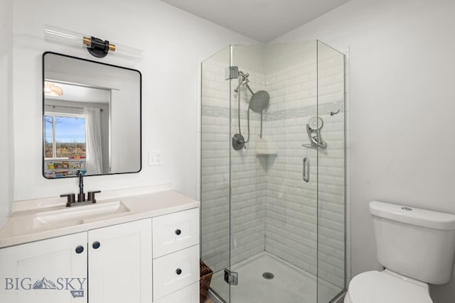 full bath featuring toilet, a stall shower, and vanity