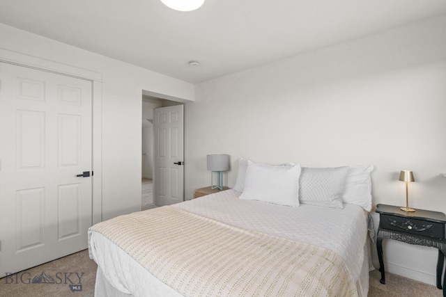 bedroom with carpet