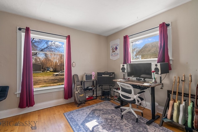 220 4th Ave E, Three Forks, MT 59752 - office space featuring a wealth of natural light, wood-type flooring, and baseboards