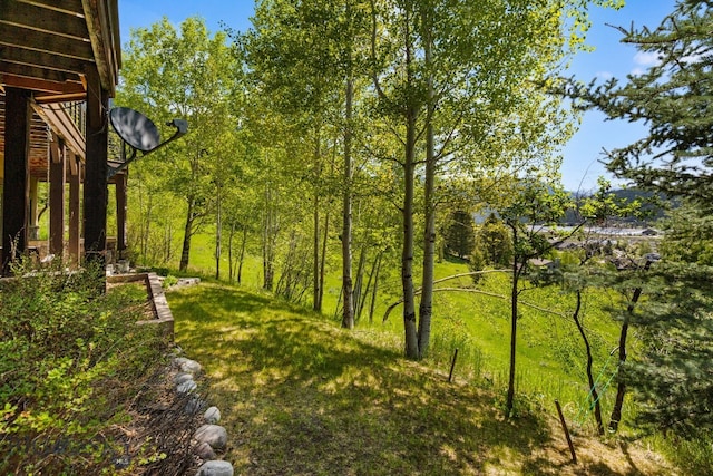 2430 Two Gun White Calf Rd, Big Sky, MT 59716 - view of yard