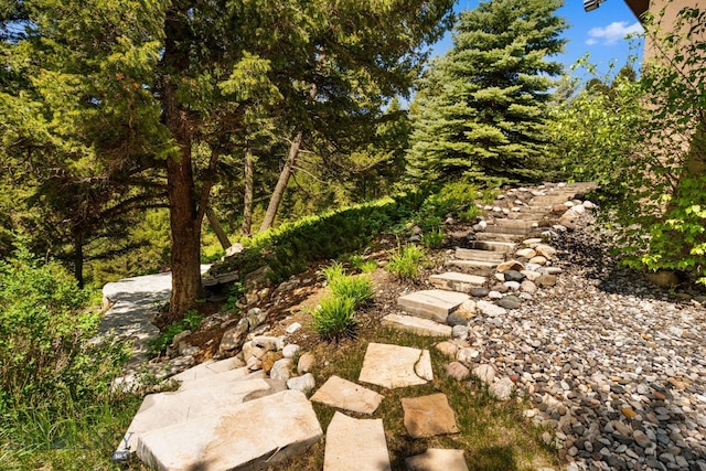 2430 Two Gun White Calf Rd, Big Sky, MT 59716 - view of yard