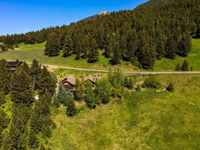 2430 Two Gun White Calf Rd, Big Sky, MT 59716 - view of mountain background with a heavily wooded area