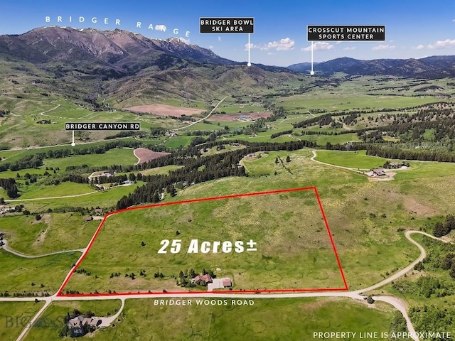 585 Bridger Woods Rd, Bozeman, MT 59715 - photo 2