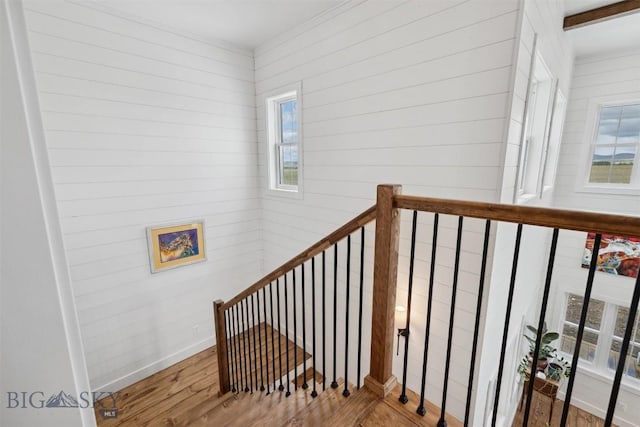 992 Deer Haven Dr, Deer Lodge, MT 59722 - stairway featuring wood finished floors, baseboards, crown molding, and wood walls