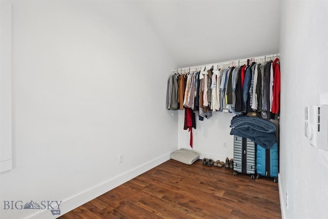 992 Deer Haven Dr, Deer Lodge, MT 59722 - walk in closet with wood finished floors and lofted ceiling