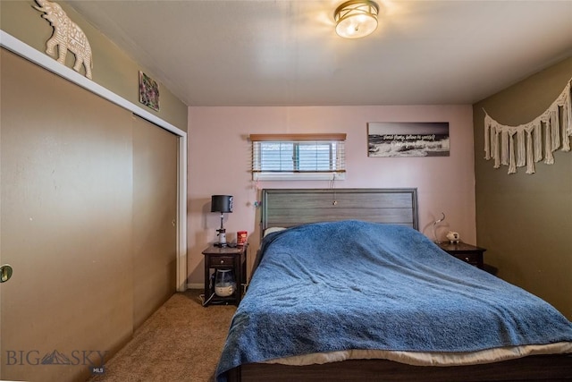 1916 S Jackson, Butte, MT 59701 - bedroom featuring carpet flooring and a closet