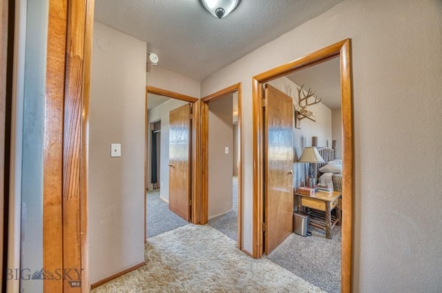 5585 W Cameron Bridge Rd, Manhattan, MT 59741 - hallway with carpet and a textured ceiling