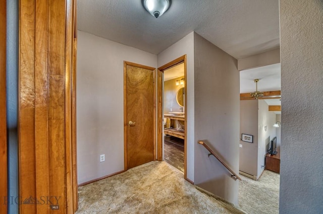 5585 W Cameron Bridge Rd, Manhattan, MT 59741 - hallway with an upstairs landing, carpet, and a textured ceiling
