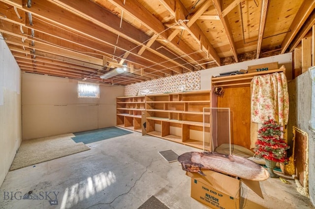 5585 W Cameron Bridge Rd, Manhattan, MT 59741 - view of basement