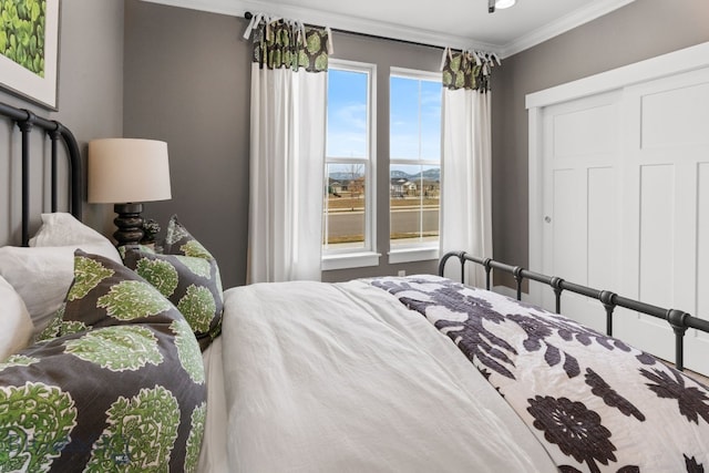 bedroom featuring crown molding and a closet