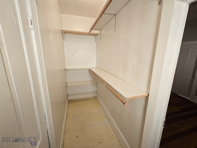 spacious closet featuring light wood-style floors
