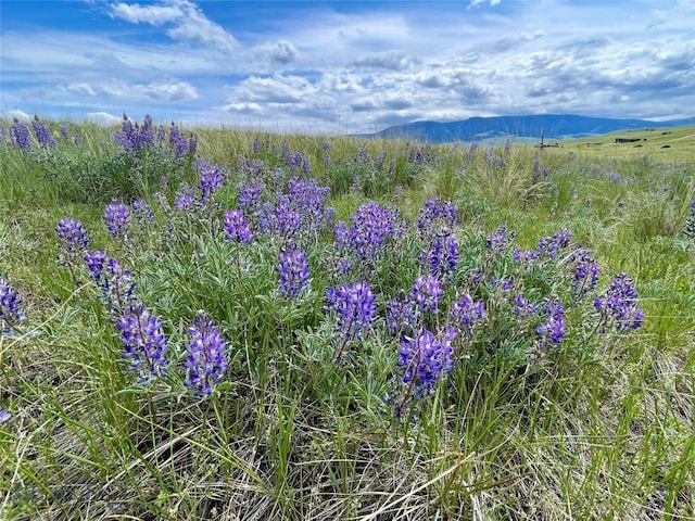 TRACT9C Gateway Dr, Livingston, MT 59047