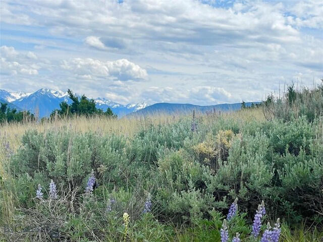 TRACT9C Gateway Dr, Livingston, MT 59047