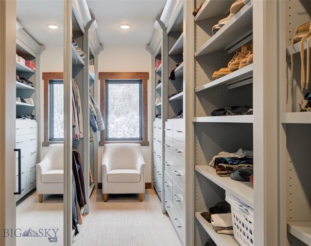 280 High Ridge Rd, Bozeman, MT 59715 - view of walk in closet