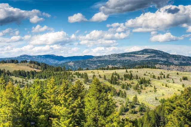 280 High Ridge Rd, Bozeman, MT 59715