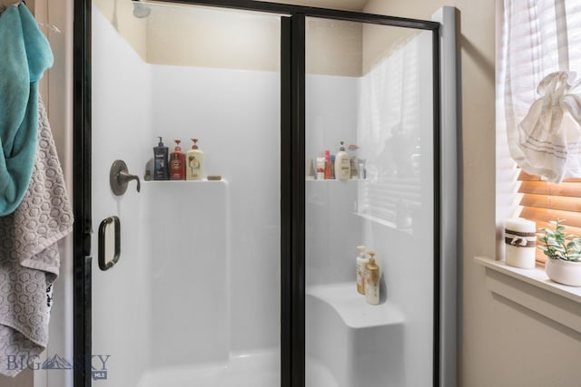1519 Butler Crk Unit B, Belgrade, MT 59714 - bathroom with a stall shower