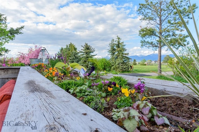 745 Rocky Rd, Bozeman, MT 59718 - photo 47