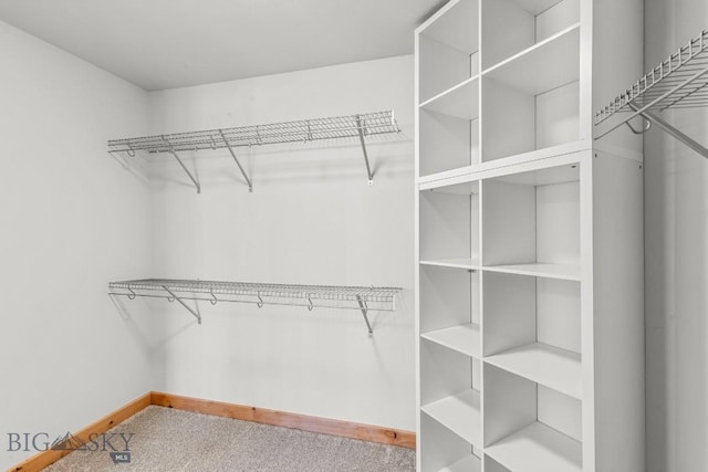 614 S 6th, Bozeman, MT 59715 - spacious closet with carpet floors