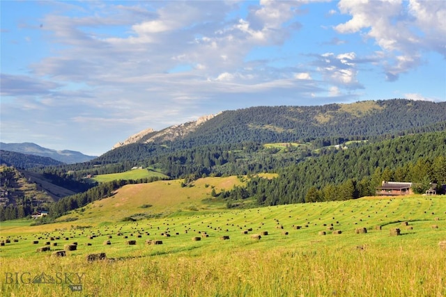 view of mountain feature featuring a wooded view and a rural view