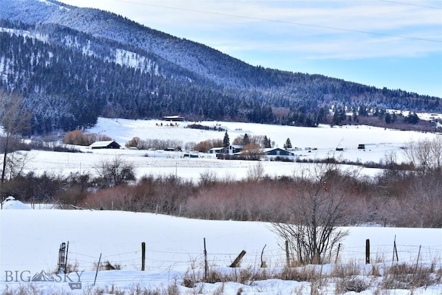 mountain view with a forest view