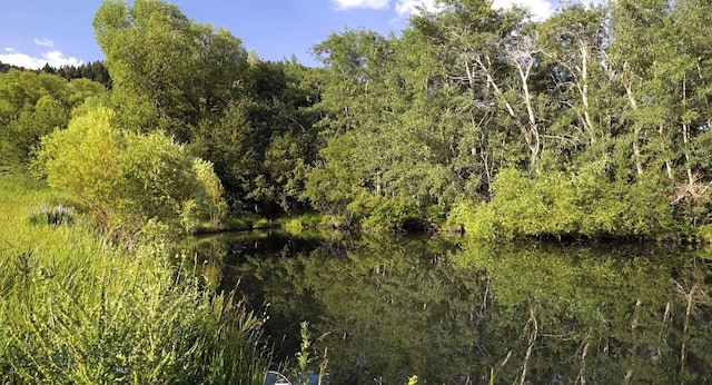 view of landscape featuring a water view and a view of trees