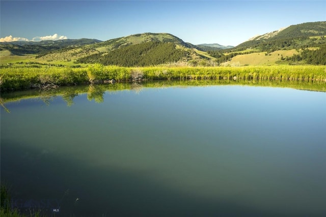 view of water feature featuring a mountain view